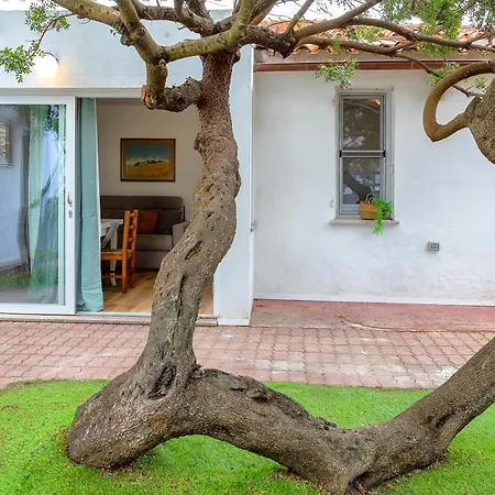 Casa Sergio * أولبيا