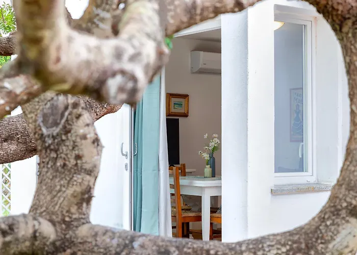 Casa Sergio * Ольбия